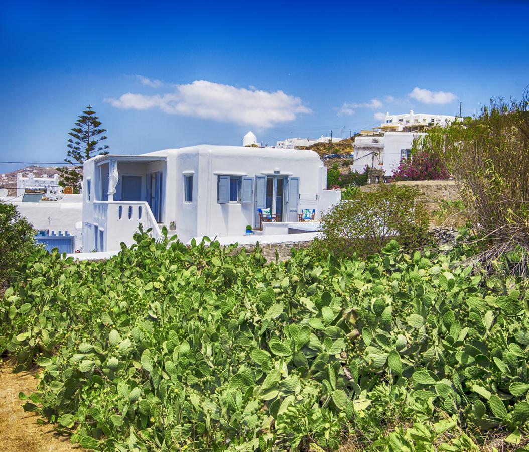 Sole Mare Villa Mykonos Town Zewnętrze zdjęcie
